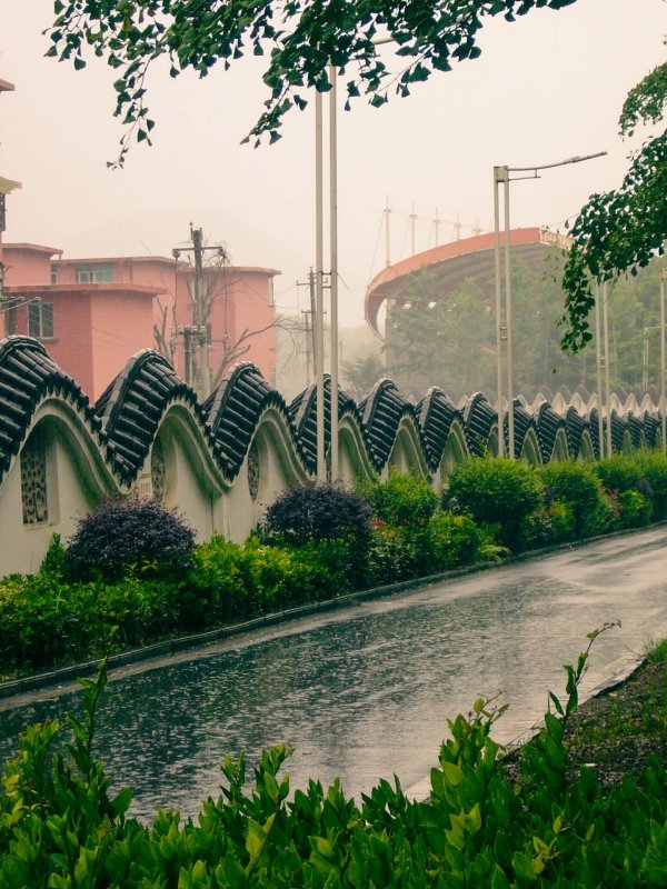 雨